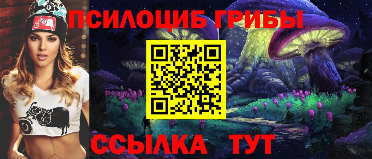 Анжеро-Судженск  Галлюциногенные грибы мухоморы  Вход с VPN 