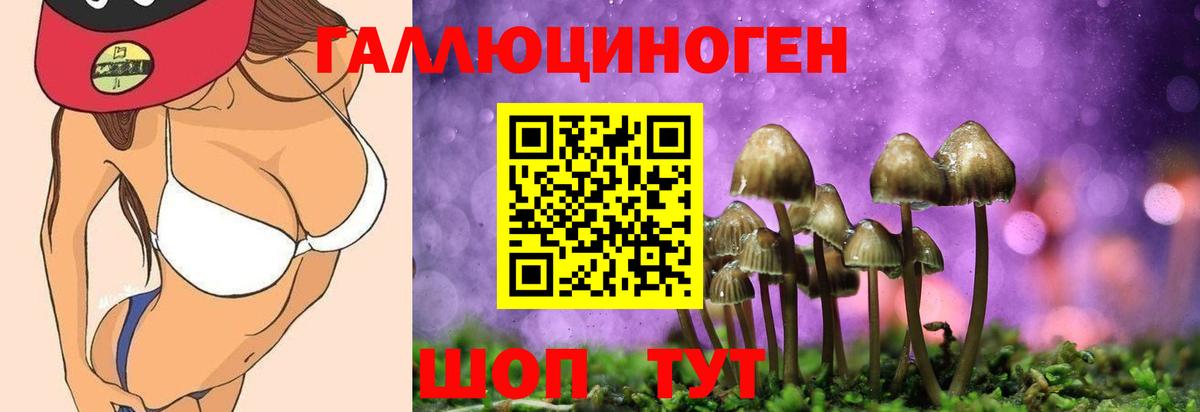 Псилоцибиновые грибы ЛСД Анжеро-Судженск